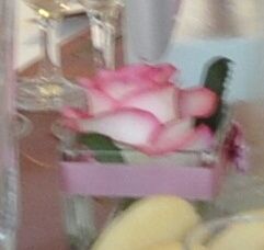 Composition florale . - 6