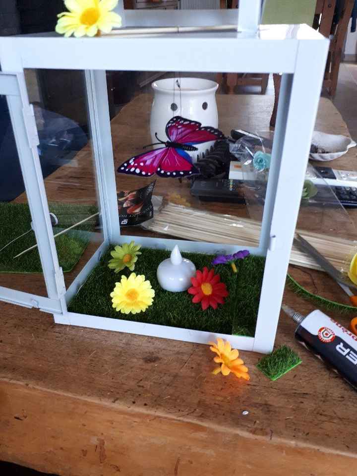 Des avis sur ma lanterne - 1