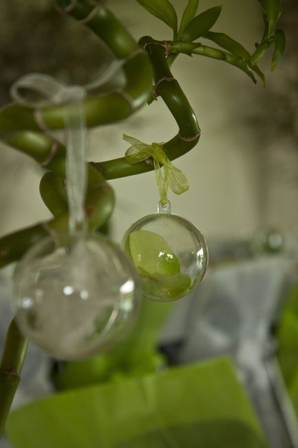 décoration
