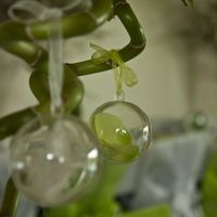 décoration