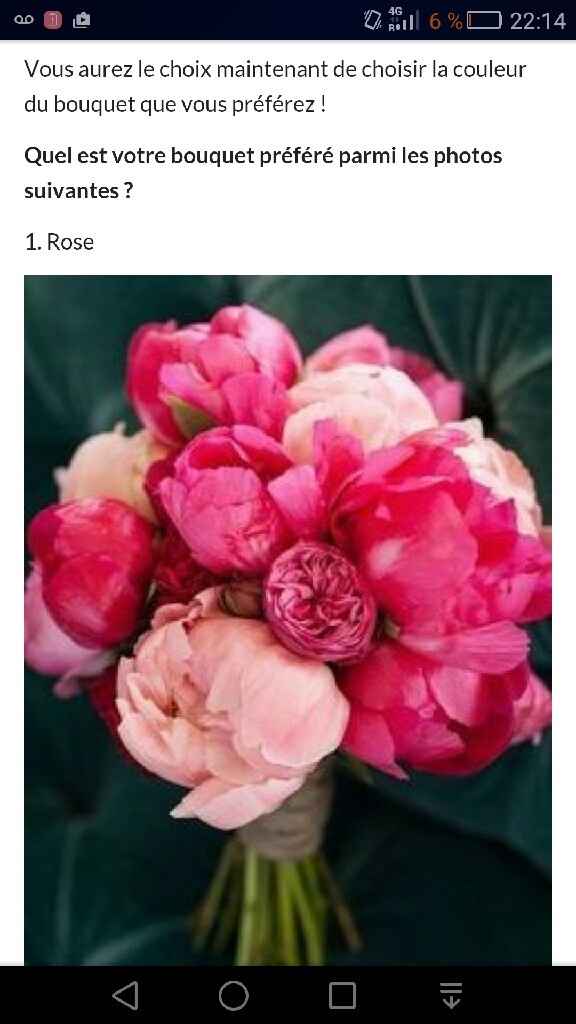 Vos avis decoration - 1