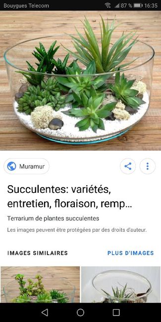 Deco de table - 5