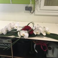 Ca y est le jour j est passé ! - 9