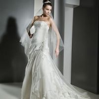 1er coup de coeur pour cette robe