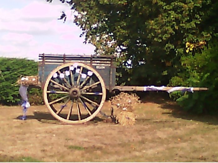 La charrette faite de tulle et de rideaux, gerbes de blé récupérées