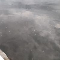 Voyage de noce en Suède - 1