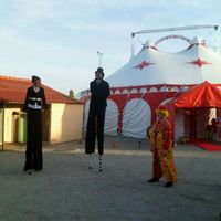 Faire son mariage dans un chapiteau de cirque - 4