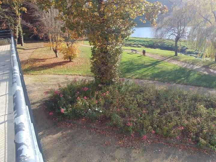 Visite de ntre salle - 4