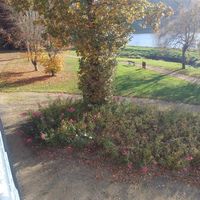 Visite de ntre salle - 4