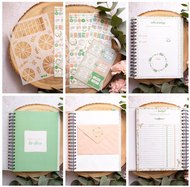 Organisation - 2