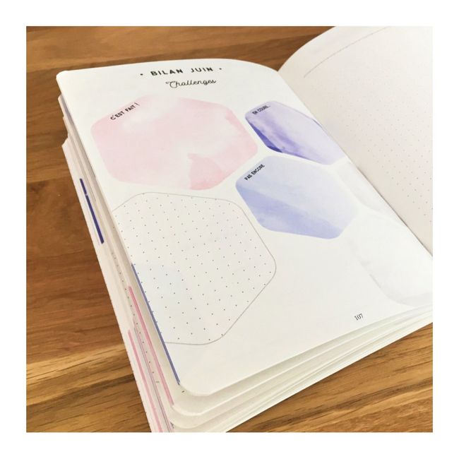  Mon planner 2018 : pour organiser et être organisée avec classe ! - 2