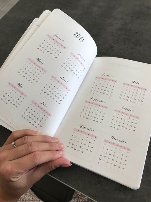  Mon planner 2018 : pour organiser et être organisée avec classe ! - 6