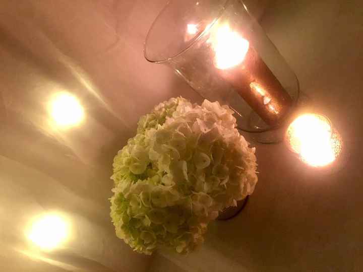 J'adore les hortensias 