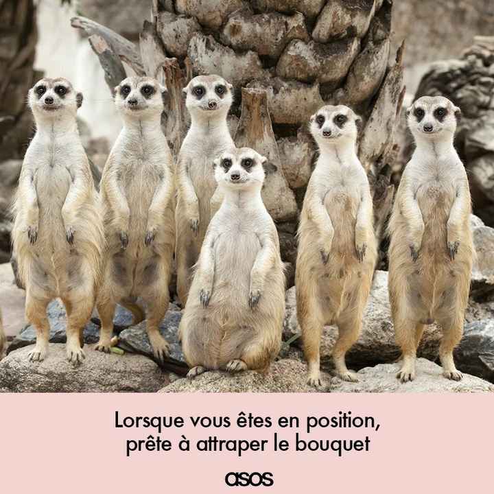 Un peu d'humour dans ce monde de brutes ^^ - 1