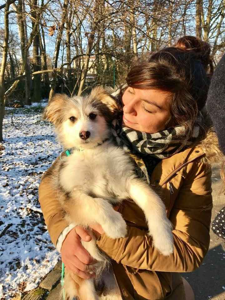  Nos animaux ont une place importante 💕 - 3