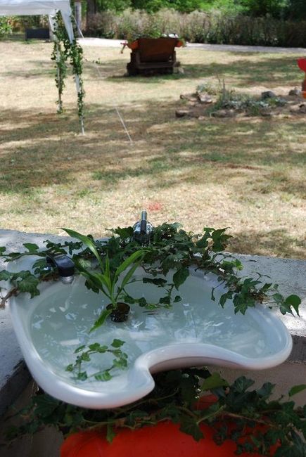 aquarium improvisé