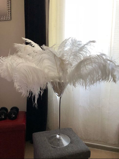 Voilà les plumes - 2
