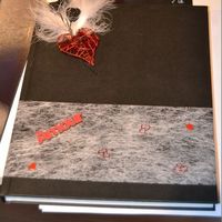 Livre do'r Nanou et David