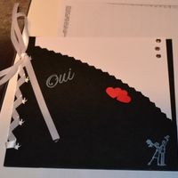 faire part David et nanou