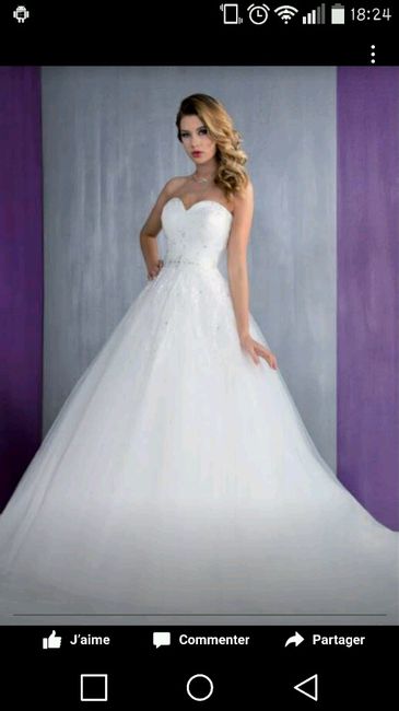 Ma robe je l'ai enfin trouvé - 4