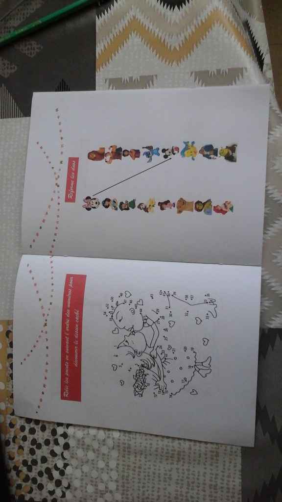 Livre d activités 2