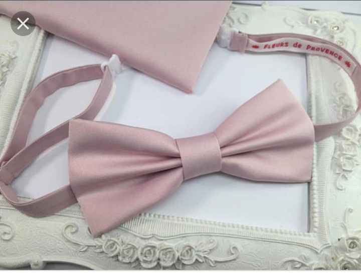  Rose poudrée... Nœud pap... Help me - 1