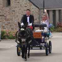 arrivée en charette