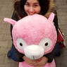 JeSs