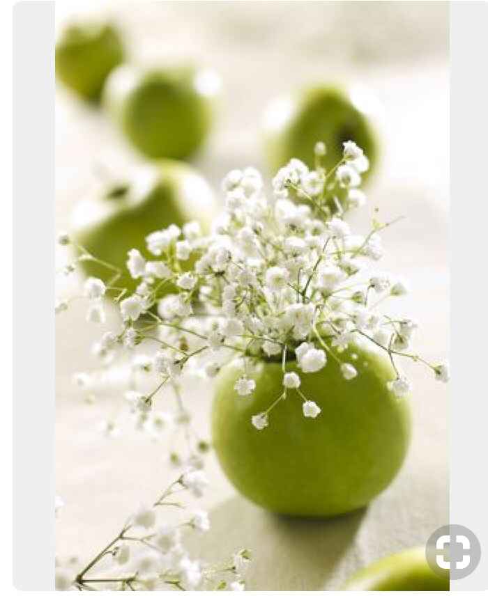 Mariage autour de la pomme 🍎 🍏 - 5