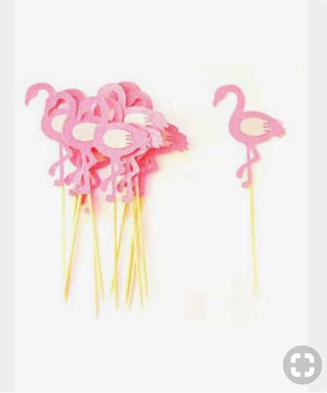 Flamand Rose à l’honneur - 1