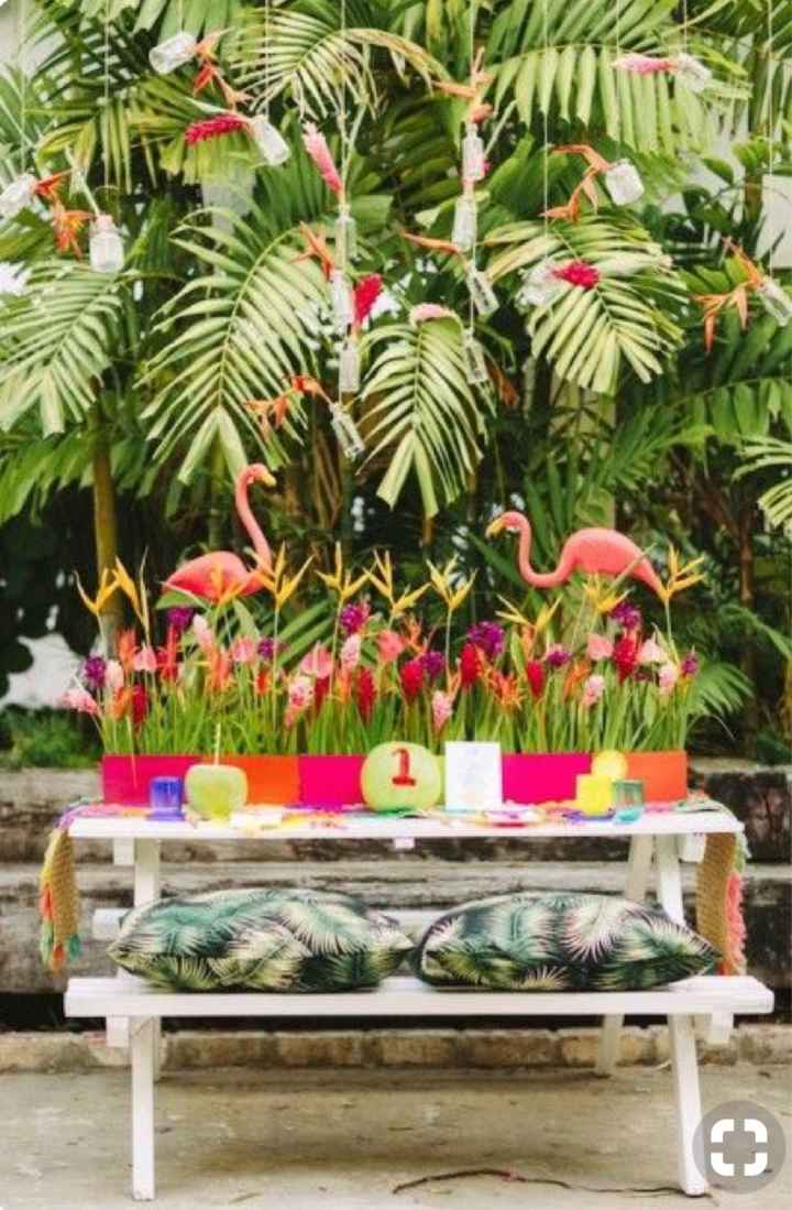 Flamand Rose à l’honneur - 7