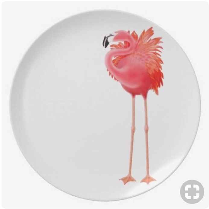 Flamand Rose à l’honneur - 22