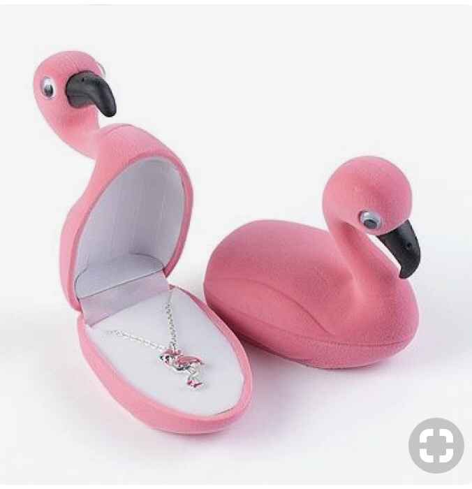 Flamand Rose à l’honneur - 24