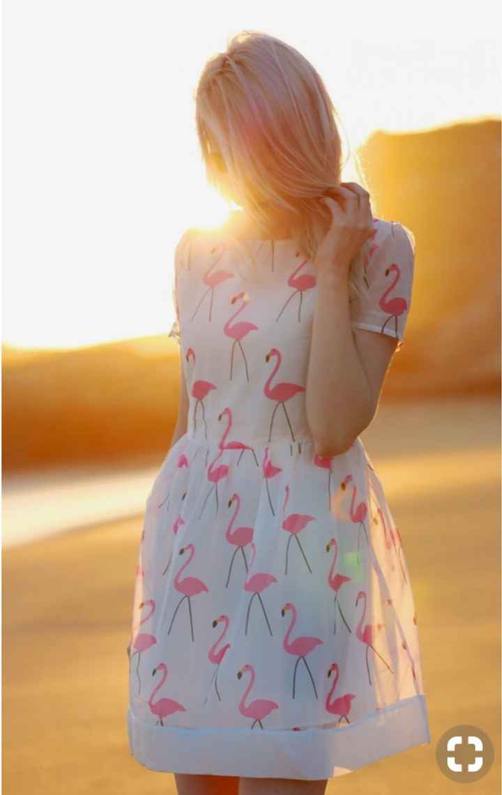 Flamand Rose à l’honneur - 29