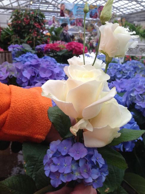 Essai composition florale - 2