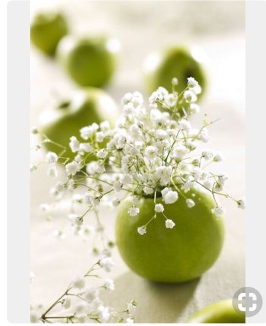 Mariage autour de la pomme 🍎 🍏 - 5