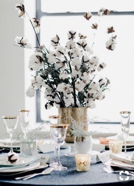Un mariage tout doux - 6