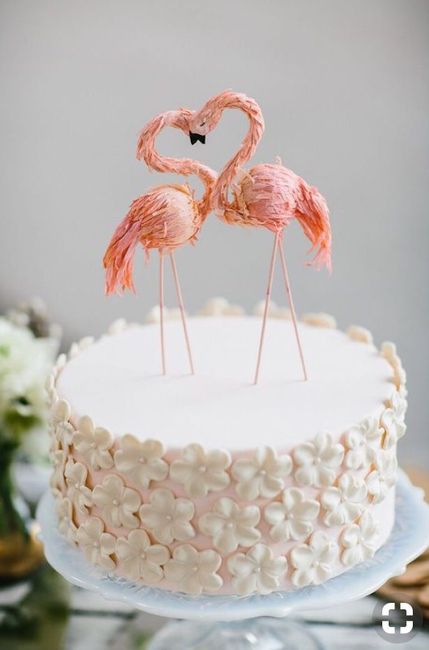 Flamand Rose à l’honneur - 8