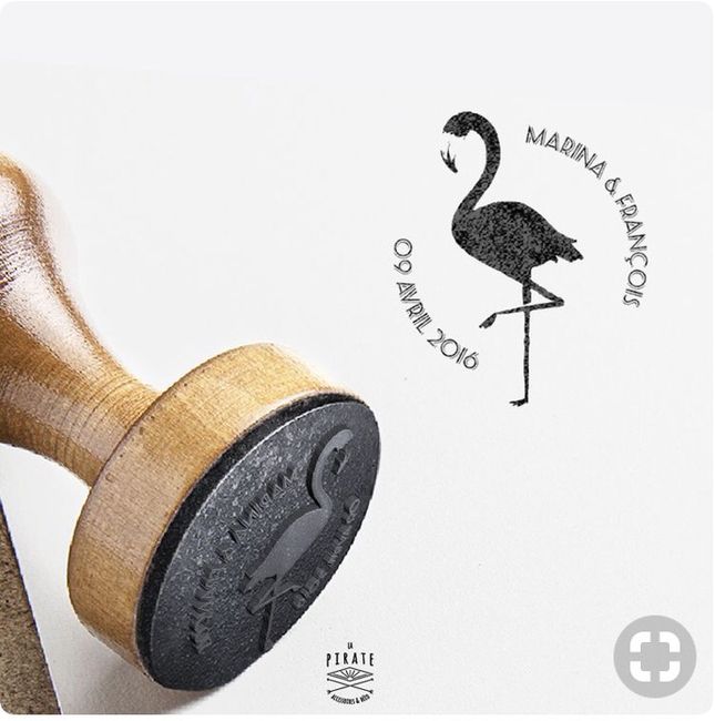 Flamand Rose à l’honneur - 9
