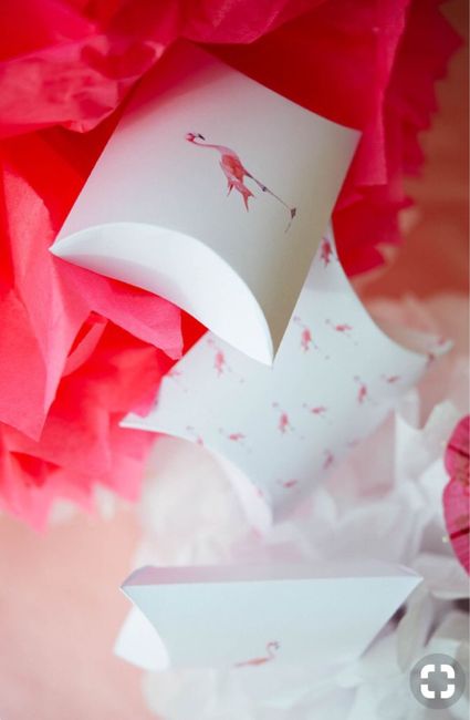 Flamand Rose à l’honneur - 14