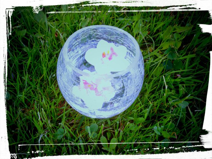 vase boule thème orchidées