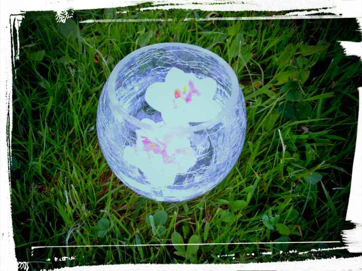 vase boule thème orchidées
