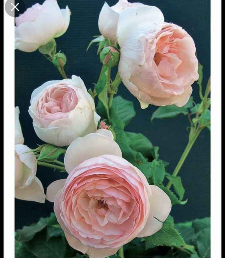 Bouquet mariée - 1