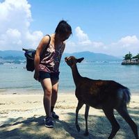  Voyage au Japon dans 2/3 mois, quelle agence? Quel site? - 3