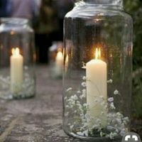 Qui utilise du gypsophile? - 1