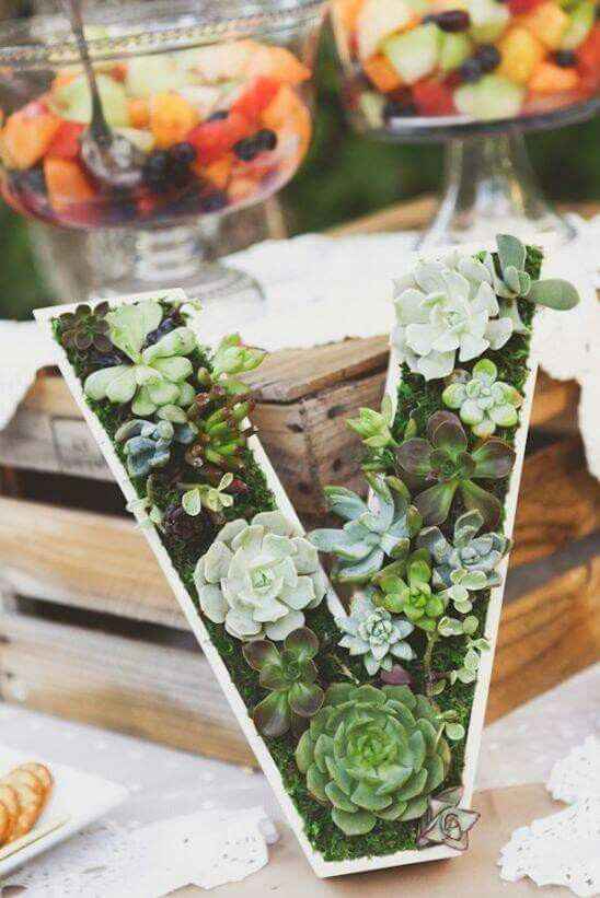 Inspiration succulente - 1