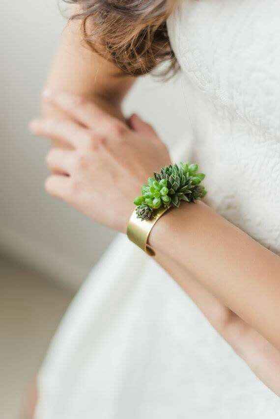 Inspiration succulente - 5