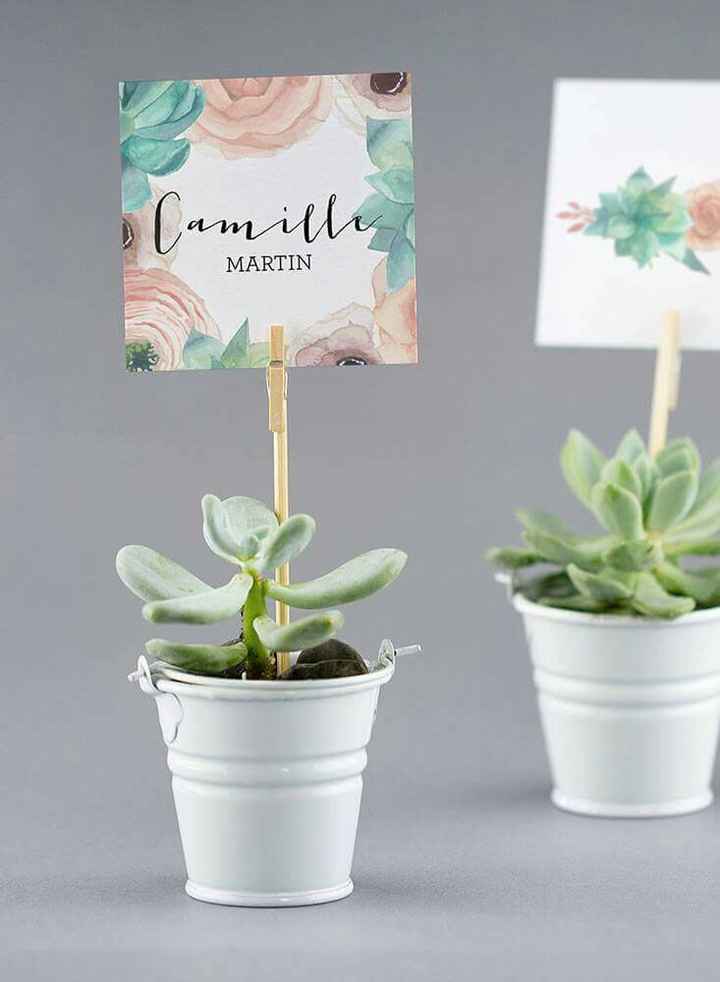 Inspiration succulente - 7
