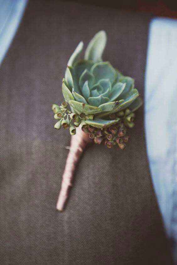Inspiration succulente - 8