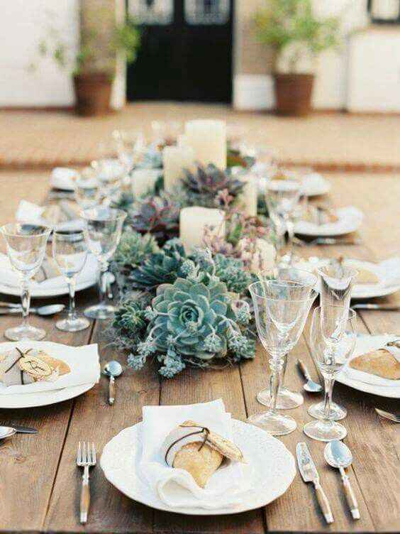 Inspiration succulente - 9